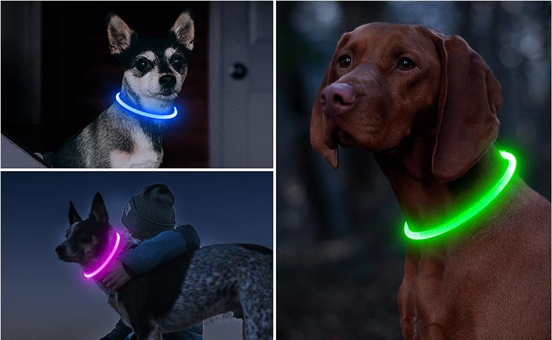 Led Dog Collar Luminous Usb Cat Dog Collar 3 Modes Led Light Glowing Loss Prevention LED Collar For Dogs Pet Dog Accessories | Fugo Best