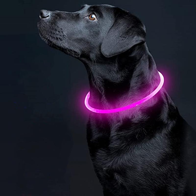 Led Dog Collar Luminous Usb Cat Dog Collar 3 Modes Led Light Glowing Loss Prevention LED Collar For Dogs Pet Dog Accessories | Fugo Best