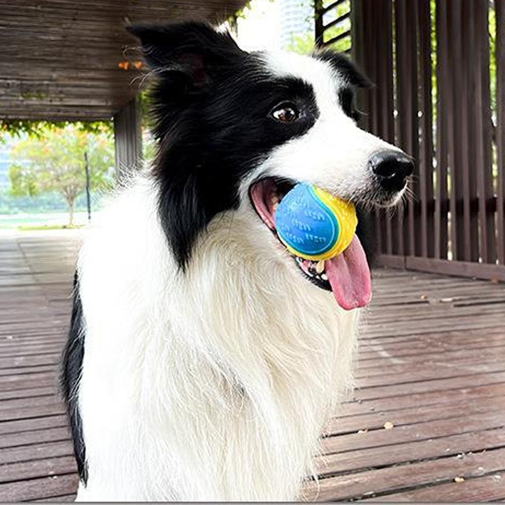 Bite-resistant Pet Dog Toy Rubber Ball Beef-flavored Elastic Ball To Prevent Dog From Destroying Things Dog Training Supply | Fugo Best