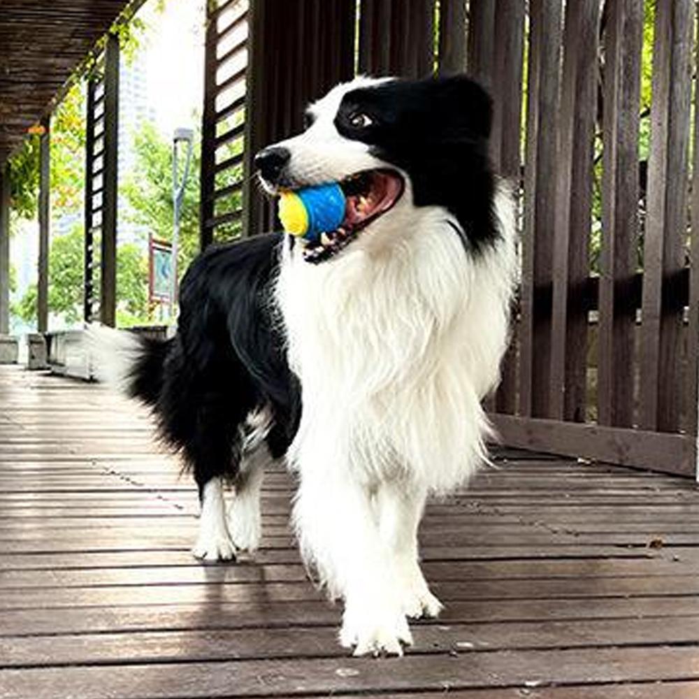 Bite-resistant Pet Dog Toy Rubber Ball Beef-flavored Elastic Ball To Prevent Dog From Destroying Things Dog Training Supply | Fugo Best