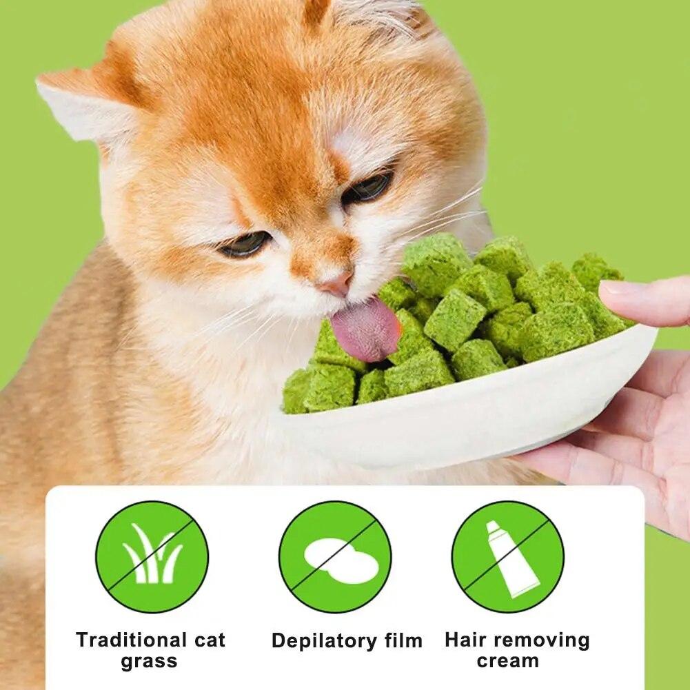 Freeze Dried Particle Cat Grass Little Cat Snacks Promptly Soluble Instant Catnip Chicken Breast Cat Caring For Pet Cats | Fugo Best