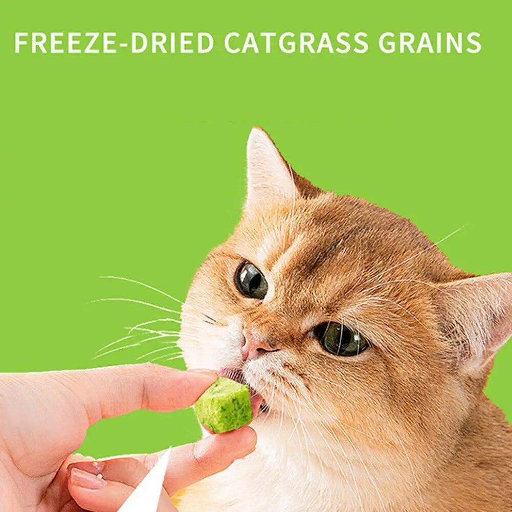 Freeze Dried Particle Cat Grass Little Cat Snacks Promptly Soluble Instant Catnip Chicken Breast Cat Caring For Pet Cats | Fugo Best