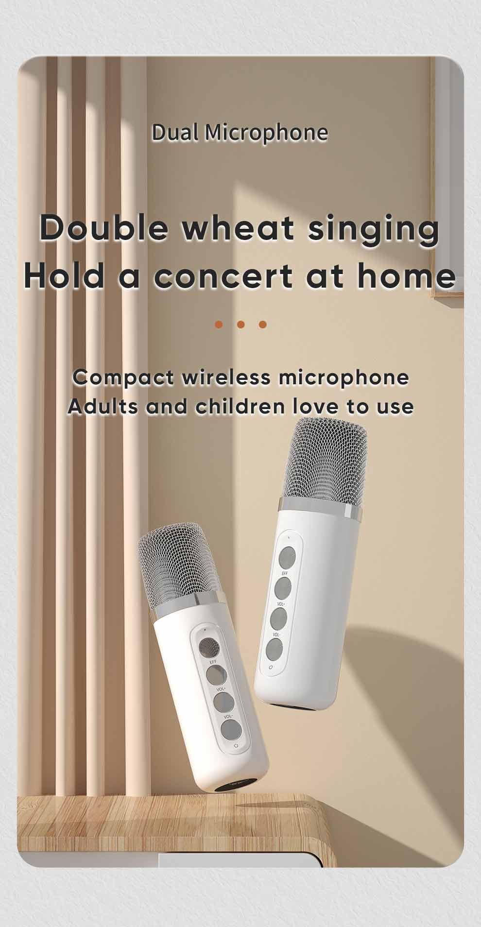 Dual Microphone Karaoke Machine for Adults and Kids Portable Bluetooth PA Speaker System with 2 Wireless Microphones for Home | Fugo Best