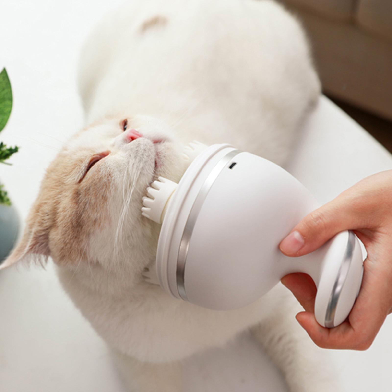 Pet Intelligent Electric Cat Massager 3D Head Massager Cats Automatic Rotate Charging Dragon Claw Hand Massage | Fugo Best