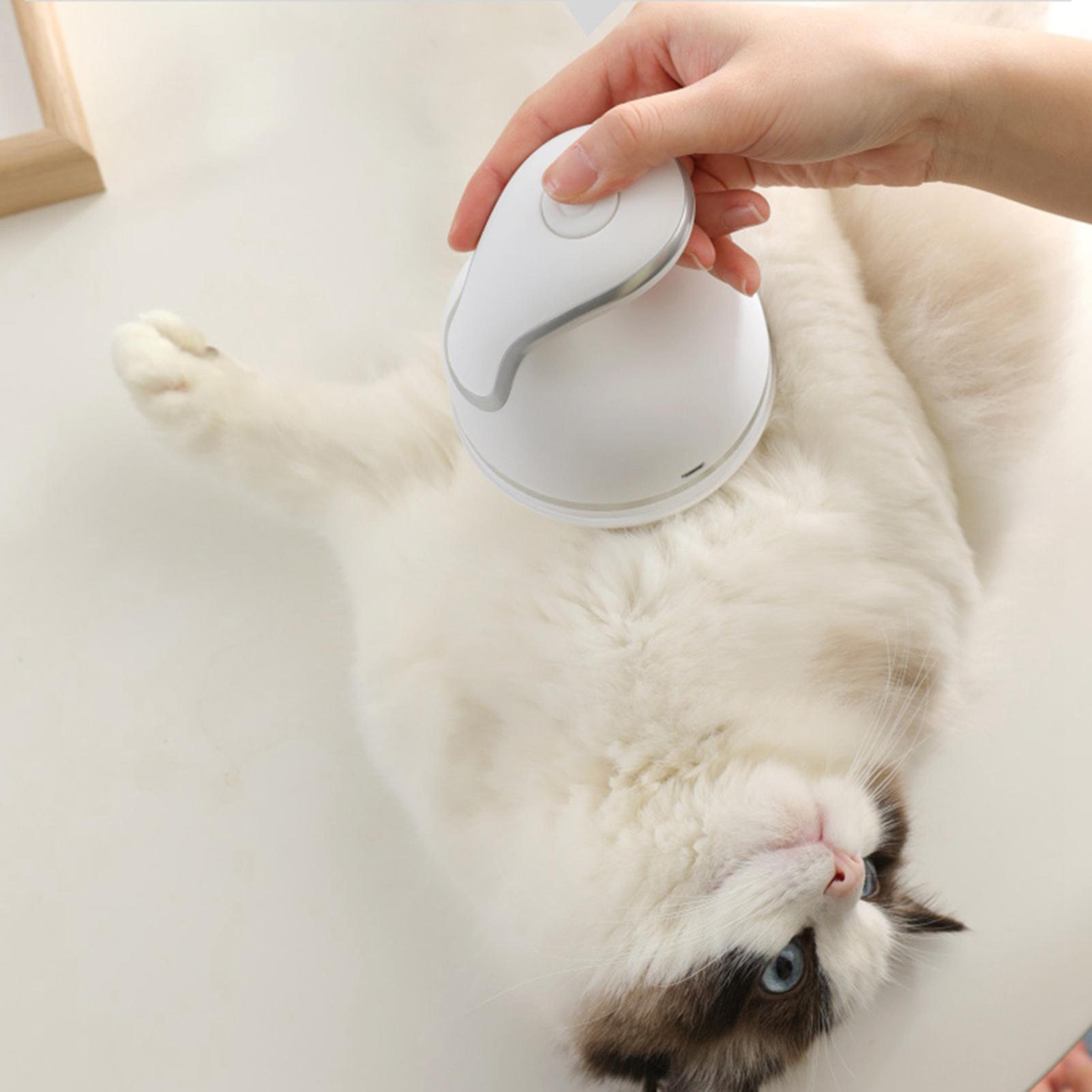 Pet Intelligent Electric Cat Massager 3D Head Massager Cats Automatic Rotate Charging Dragon Claw Hand Massage | Fugo Best