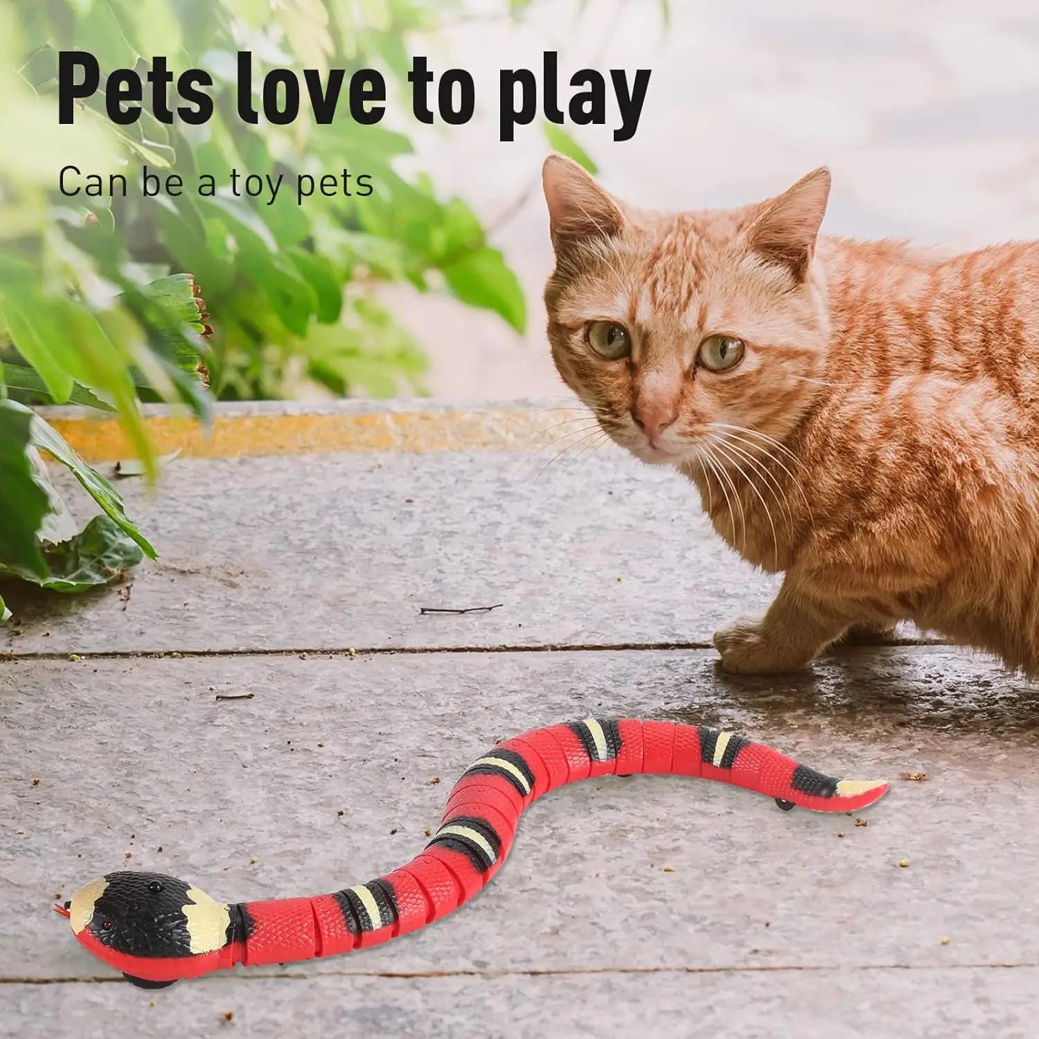 Smart Sensing Interactive Cat Toys Automatic Eletronic Snake Cat Teasering Play USB Rechargeable Kitten Toys for Cats Dogs Pet | Fugo Best