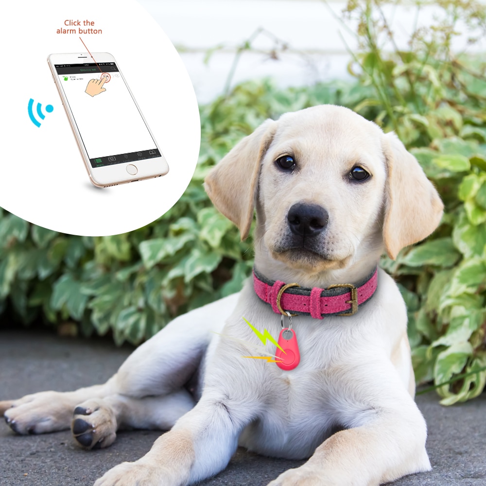 Pet Smart GPS Tracker Mini Anti-Lost Waterproof Bluetooth Locator Tracer For Pet Dog Cat Kids Car Wallet Key Collar Accessories | Fugo Best