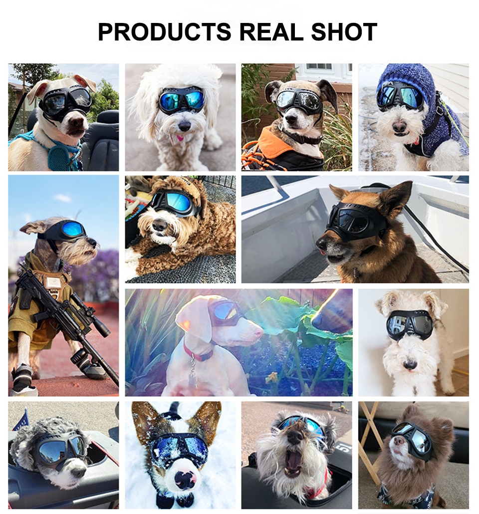 Cool Pet Dog Goggles Sunglasses Anti-UV Sun Glasses Eye Wear Protection Waterproof Windproof Sunglasses Pet Dog Supplies | Fugo Best