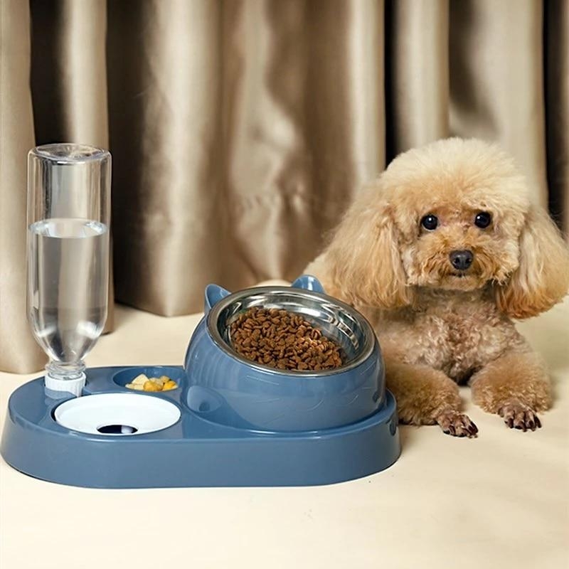 Double Bowl Automatic Water Dispenser Dog Bowl Cat Food Basin Stainless Steel Pet Supplies Protect The Spine Glass Bottle Mouth | Fugo Best