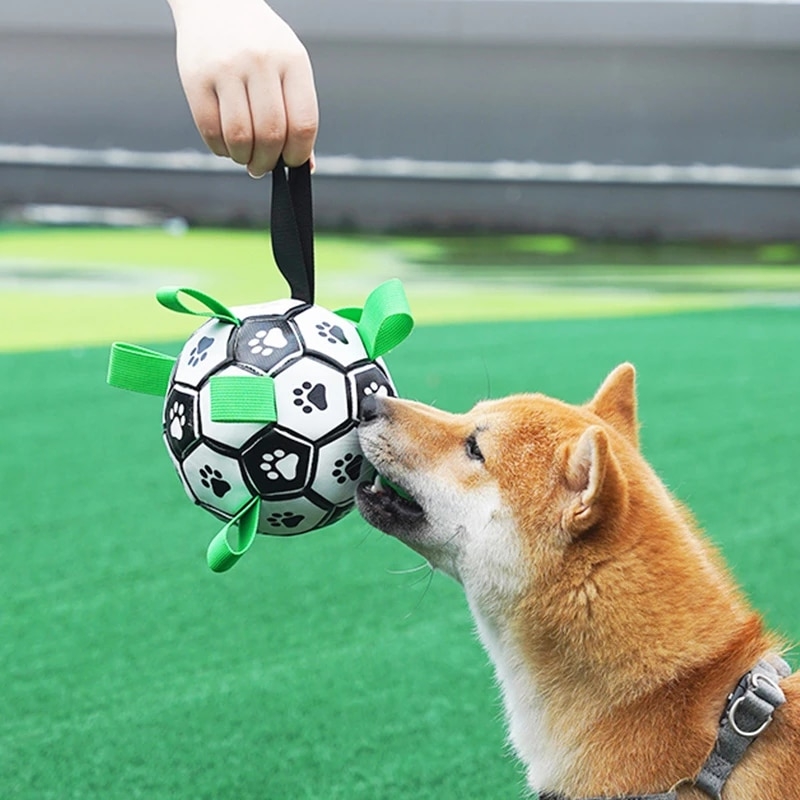 Dog Toys Interactive Pet Football Toys with Grab Tabs Dog Outdoor