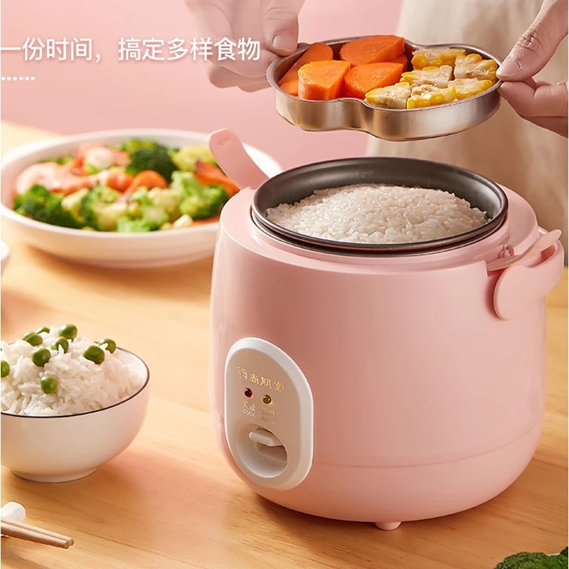 220V Mini Rice Cooker Electric Cooking Machine Single/Double Layer Available Hot Pot Multi Electric Rice Cooker EU/UK/AU/US | Fugo Best