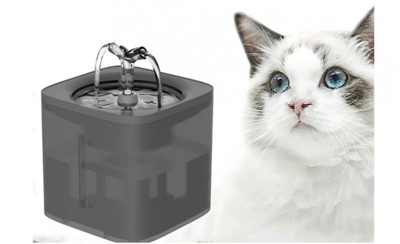 2L Automatic Pet Cat Water Fountain Filter Dispenser Feeder Smart Drinker Super Quiet Drinker Auto Feeder Drinking Supplies | Fugo Best