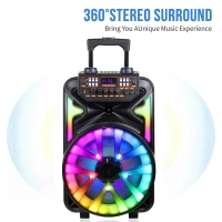 8000W Peak Power 15 Inch Outdoor Trolley Party Bluetooth Speaker Portable Subwoofer FM LED Light Audio With Dual Wireless MIC TF | Fugo Best