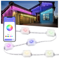 Permanent Outdoor Lights, Smart RGB Northern Lights , 100ft with 60 LED Eaves Lights IP68 Waterproof for Christmas Party Holiday | Fugo Best